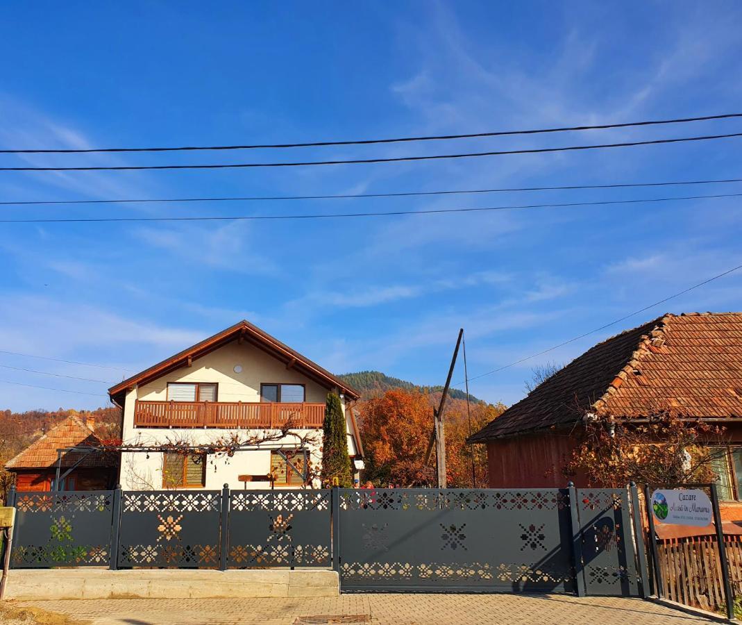Domeniul Acasa In Vadu Izei Maramu Hotel Exterior photo